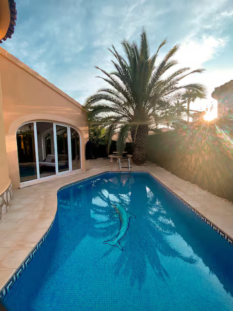 Piscina al atardecer con palmera